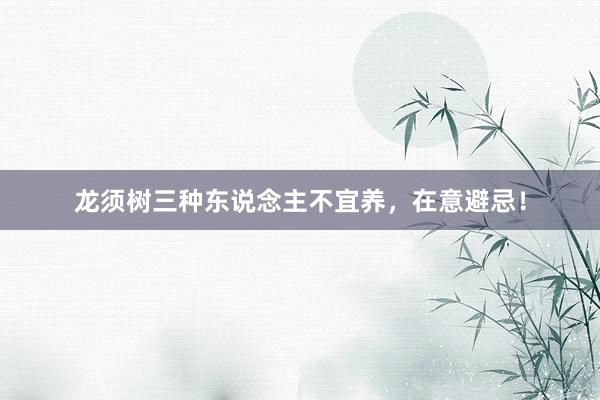 龙须树三种东说念主不宜养，在意避忌！